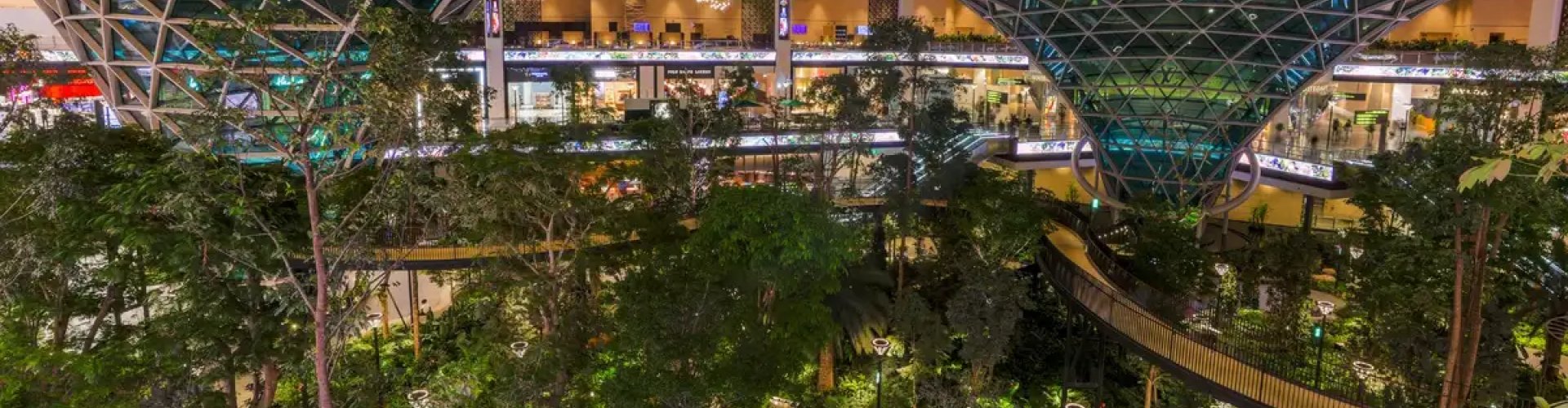 Family arrivals at Doha Intl Airport, QA Airport